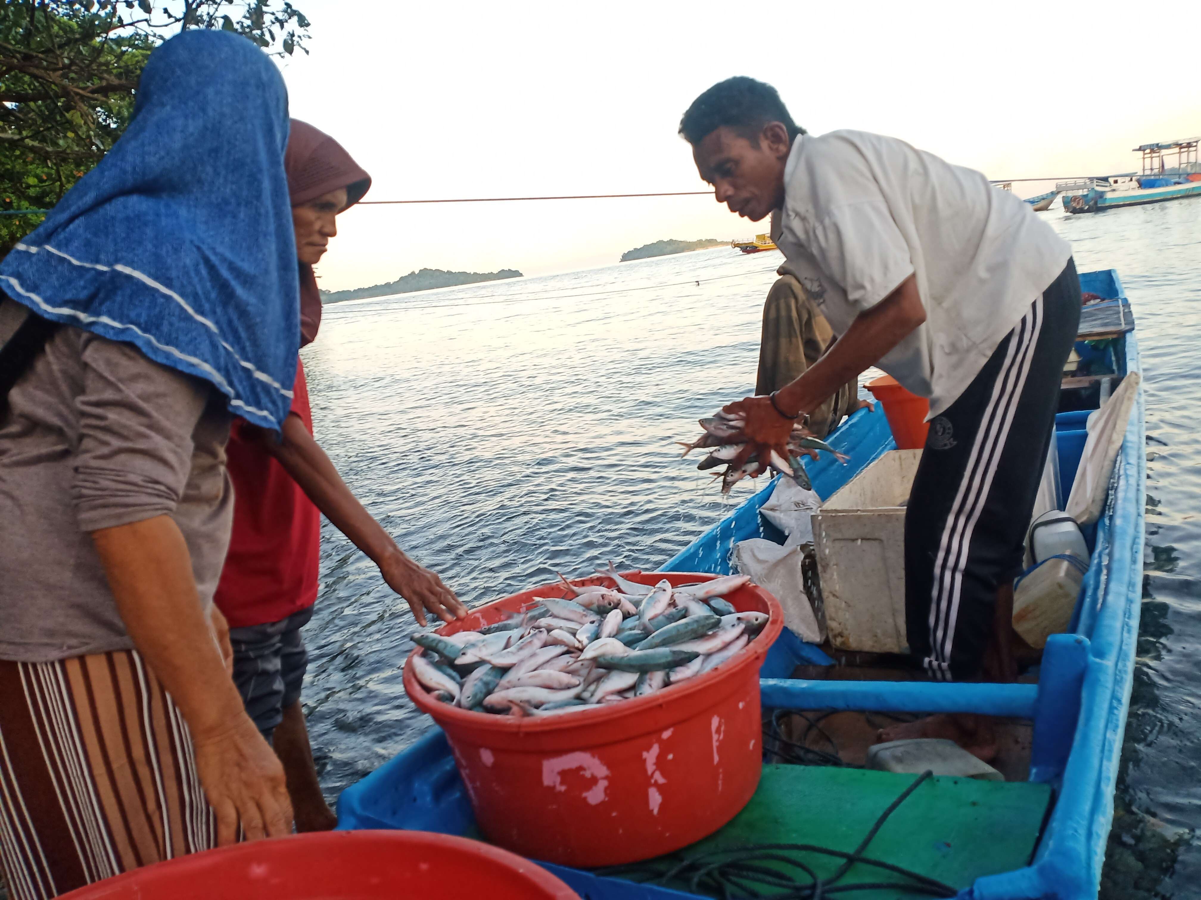 Jibu-Jibu, Perempuan Penjemput Ikan Dari Kapal Nelayan