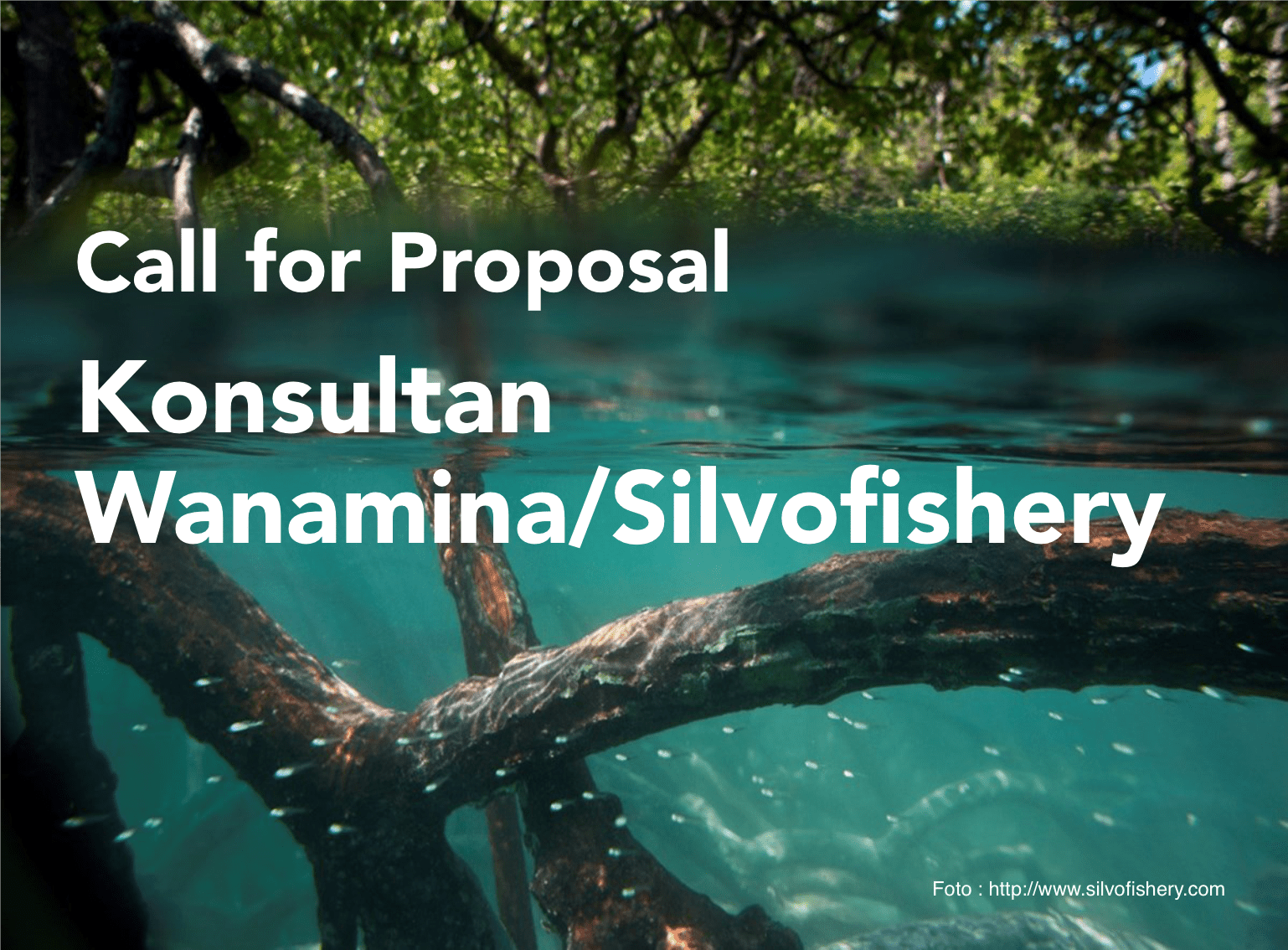 Call For Proposal: Konsultan Wanamina/Silvofishery (Perpanjangan)