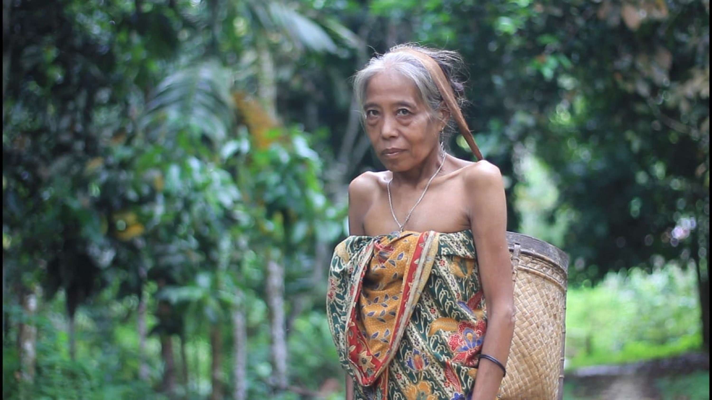 Yang Bisa Kamu Pelajari Dari Perempuan Adat: Sebagai Pelindung Hutan ...