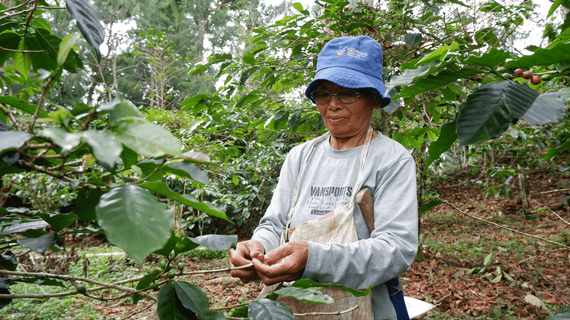 Women’s Role in Social Forestry Becomes Reality